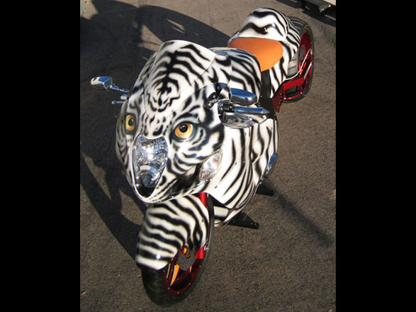 tiger bike 8.jpg